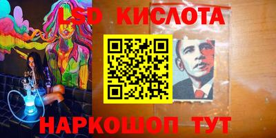 ГАЛЛЮЦИНОГЕННЫЕ ГРИБЫ Кингисепп