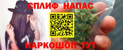 ГАЛЛЮЦИНОГЕННЫЕ ГРИБЫ Кингисепп