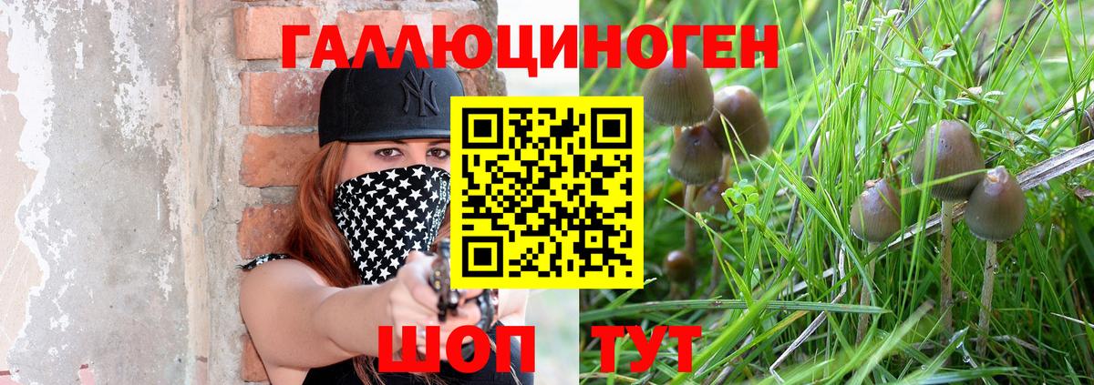Галлюциногенные грибы ЛСД Коркино